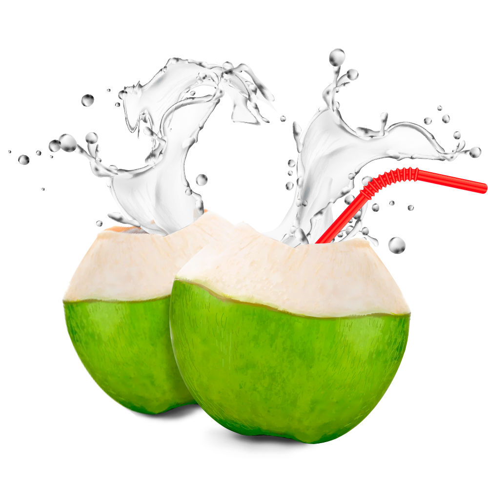 Coconut Water Product Development | Organico Beverages